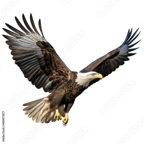 American Bald Eagle, Bald eagle flying isolated on transparent background. PNG cut out. Full body of eagle, wings are spread © Gasi