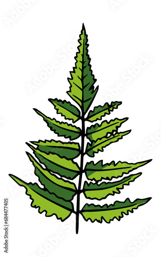 Hand drawn Green leaf collection Summer palm leaf  plant forest herbs tropical leaves. Graphic Vector illustration. Fern