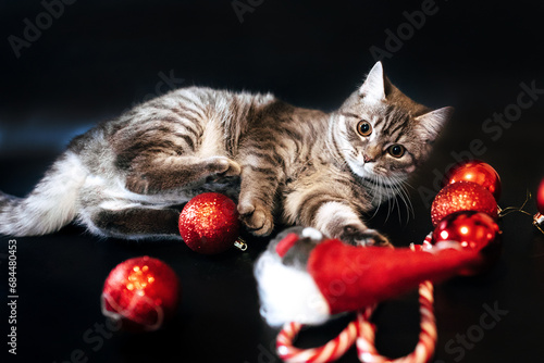 The cat playing with Christmas toys photo