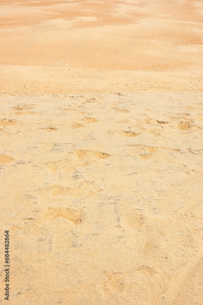 The Jockey's Ridge State Park in North Carolina The Jockey's Ridge State Park in North Carolina