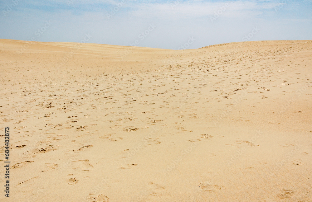 The Jockey's Ridge State Park in North Carolina The Jockey's Ridge State Park in North Carolina