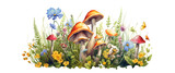 woodland grass and colorful wildflowers and mushroomsfull body semi