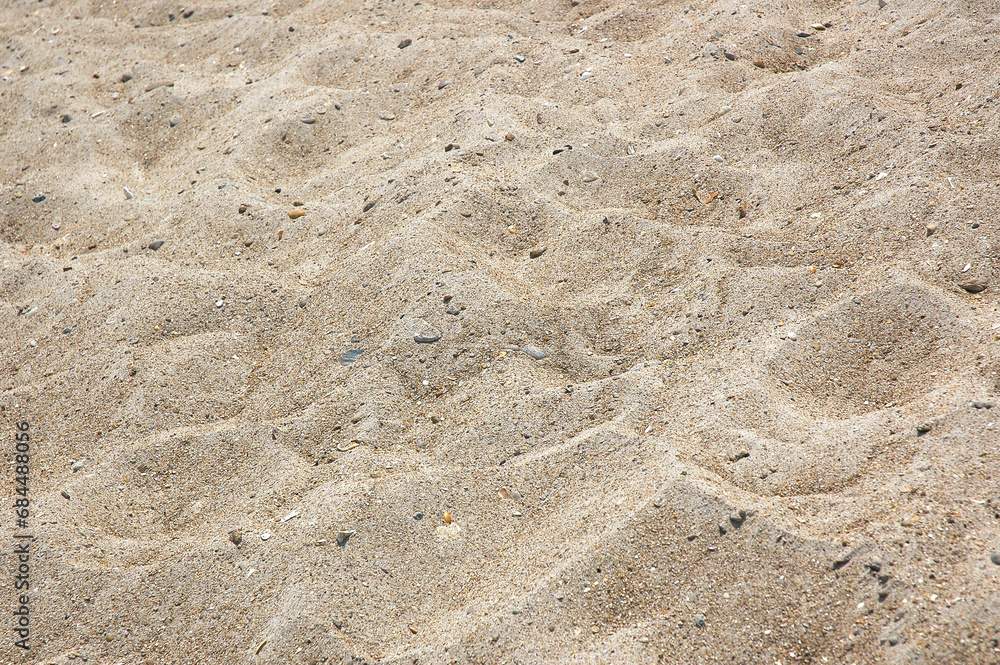 Sand and Sea Shells at the Outer Banks Island in North Carolina