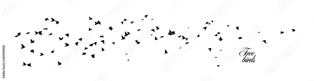 Fototapeta premium Flying birds silhouette flock. Horizontal white background with a flying flock. hand drawing. Not AI, Vector illustration