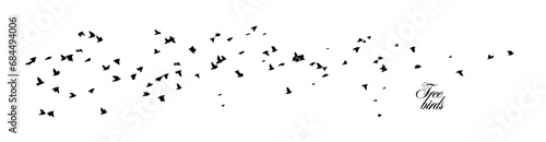 Flying birds silhouette flock. Horizontal white background with a flying flock. hand drawing. Not AI, Vector illustration © Мария Неноглядова
