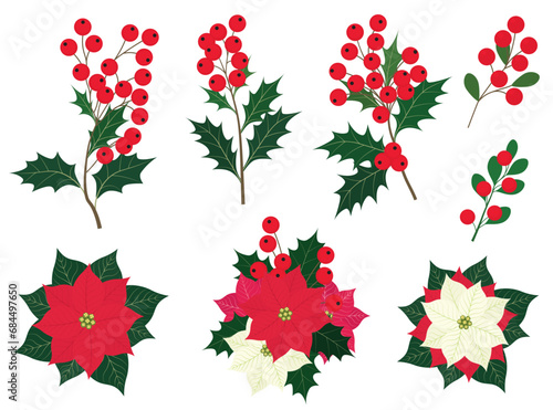 Collection of Christmas elements, holly berry branch, Christmas berry fruits, and bouquet of poinsettia flowers, on white background.
