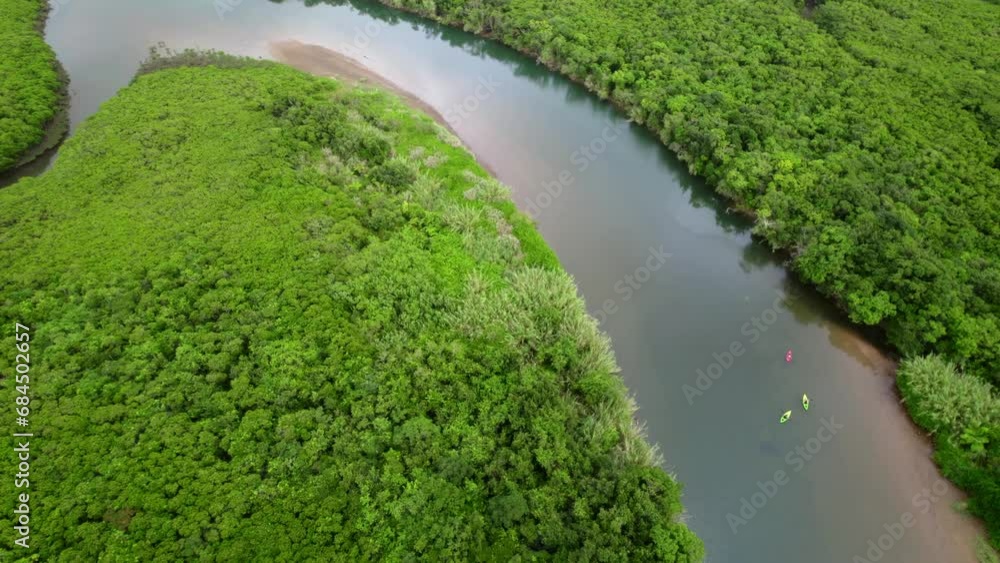 ドローンで空撮した奄美大島のマングローブ林(Amami Oshima Island Bird Eye) ドローンで空撮した奄美大島のマングローブ林(Amami Oshima Island Bird Eye)