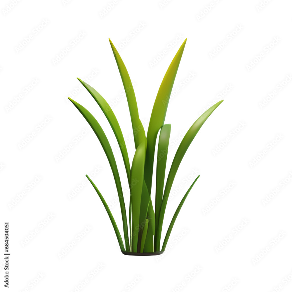 3D Grass 3D Grass