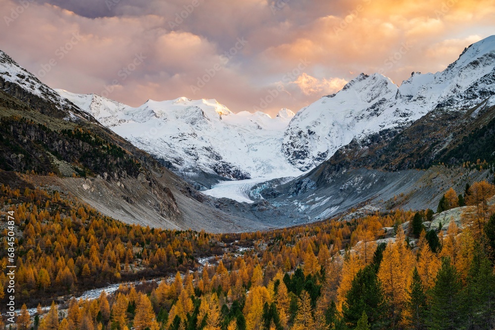 Autumn larch forest in front of Morteratsch glacier, Bernina Group with Piz Bernina, Piz Palue, Pontresina, Engadine, Canton Graubuenden, Switzerland, Europe - obrazy, fototapety, plakaty 