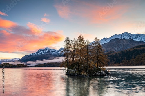 Morning atmosphere at Lake Sils, island with autumn larches, Engadin, Canton Grisons, Switzerland, Europe