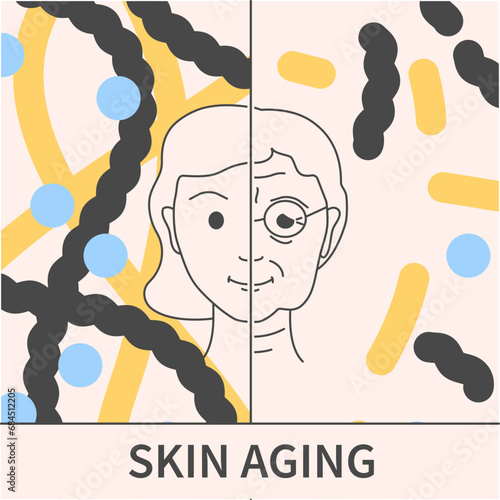 Collagen and skin aging. Skin changes in younger and older woman. Cell structure background. Beauty and wellness concept. Medical vector illustration.