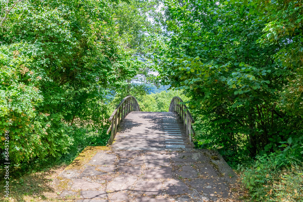 Stone path leading to a wooden arch bridge among foliage of green leafy trees, misty background, sunny spring day in nature reserve at Echternach, Luxembourg Stone path leading to a wooden arch bridge among foliage of green leafy trees, misty background, sunny spring day in nature reserve at Echternach, Luxembourg
