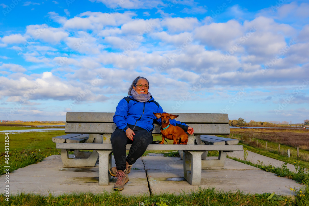 Senior adult hiker sitting next to his dachshund on a tourist gazebo on a hill, ears raised in wind, Belgian nature reserve De Wissen, Maas river in background, sunny day in Dilsen-Stokkem, Belgium