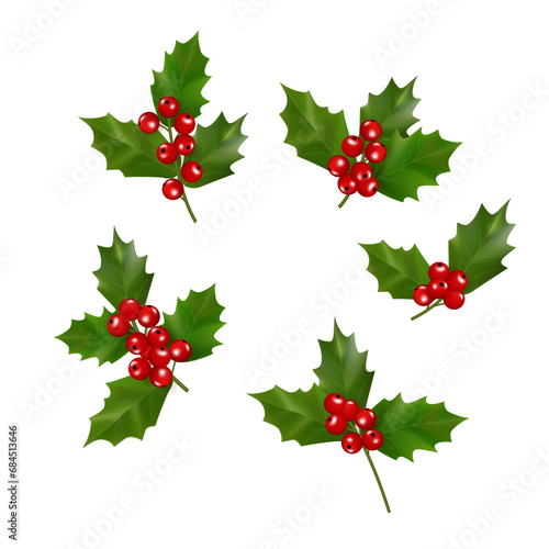 Set of Holly berries and leaves, isolated on white.