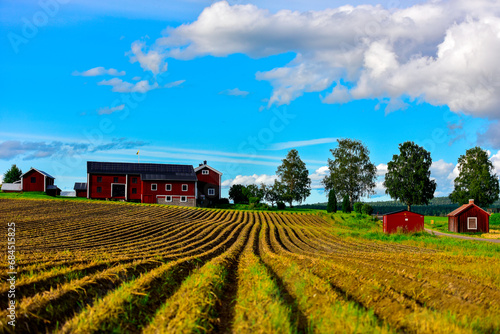 Sweden, Clouds over plowed field photo