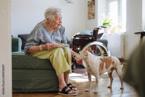Smiling senior woman holding plate of food and stroking dog at home photo