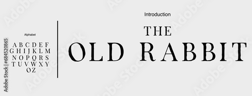 Old  serif rough illustration font. Handwritten  serif grunge font