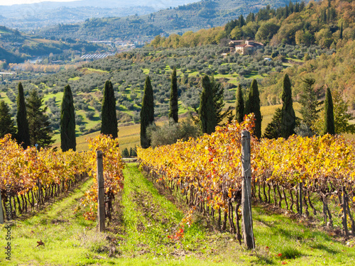 Italia, Toscana, i vigneti e  campagna Toscana in autunno . photo