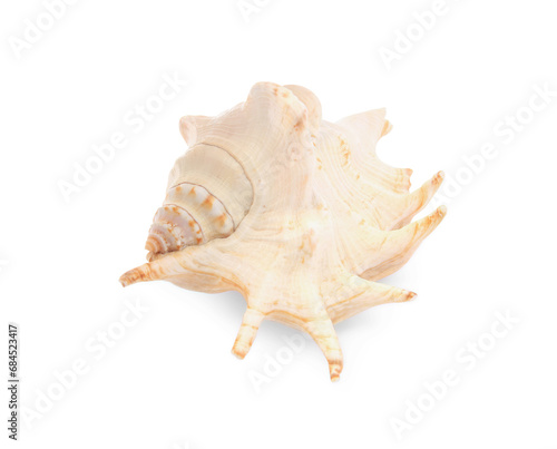 Beautiful seashell isolated on white. Beach object