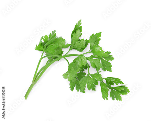 Sprig of fresh green parsley leaves isolated on white, top view