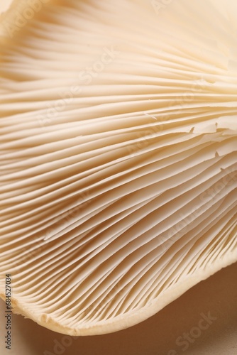 Fresh oyster mushroom on beige background, macro view