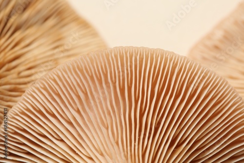 Raw forest mushrooms on beige background, macro view