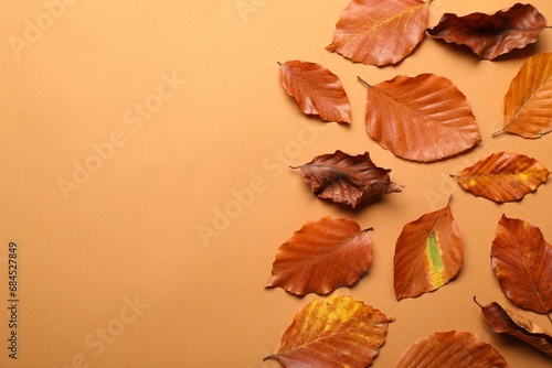 Dry autumn leaves on pale orange background, flat lay. Space for text
