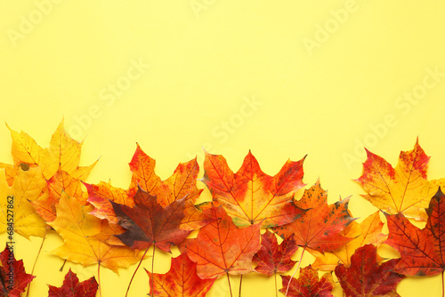 Autumn season. Colorful maple leaves on yellow background  flat lay with space for text