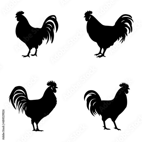 rooster isolated on white