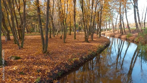 Falling leaves in autumn park. Colorful morning scene of Topilche Park in Ternopil city with blue waters river, Ukraine, Europe. Beauty of nature concept background. 4K video (Ultra High Definition). photo