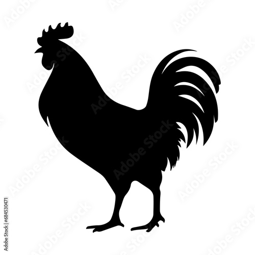 rooster isolated on white