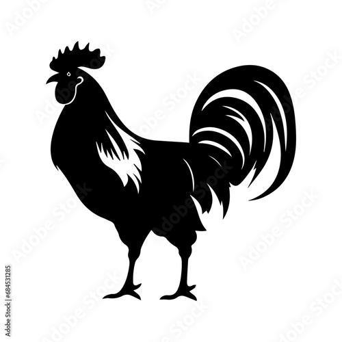 rooster isolated on white