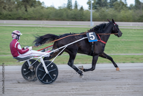 Racing horses trots and rider on a track of stadium. Competitions for trotting horse racing. Horses compete in harness racing. Horse runing at the track with rider.
