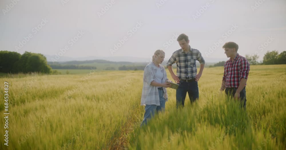 Farmer In Field Examining Crops Agriculture Farmer In Field Examining Crops Agriculture