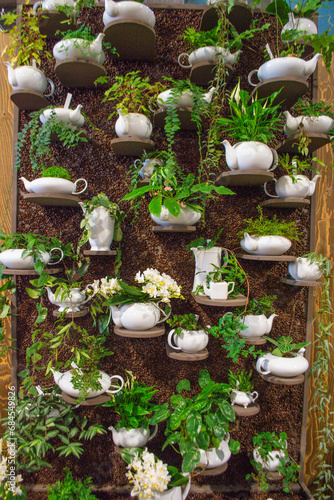 Vertical garden decoration, ornamental plant growing in tree pot, wall decoration using potted plants, man arranging tree pot on the wall