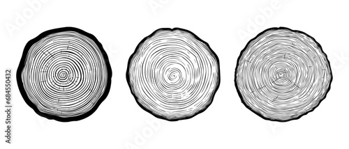 set vector illustration of round tree trunk cuts, sawn pine or oak slices, lumber. Saw cut timber, wood. Wooden texture with tree rings. Hand drawn sketch isolated on white background photo