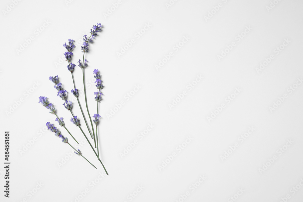Fototapeta premium Beautiful aromatic lavender flowers on white background, flat lay. Space for text