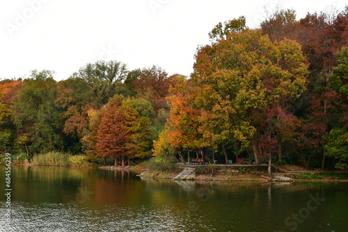 Photo of the lakeside forest in autumn