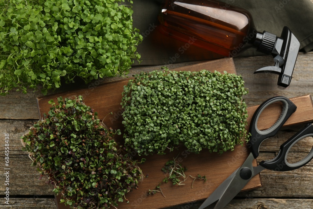 Fresh microgreens, spray bottle and scissors on wooden table, flat lay Fresh microgreens, spray bottle and scissors on wooden table, flat lay