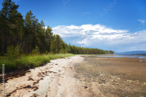 Littoral of the White Sea at low tide on summer, Russia