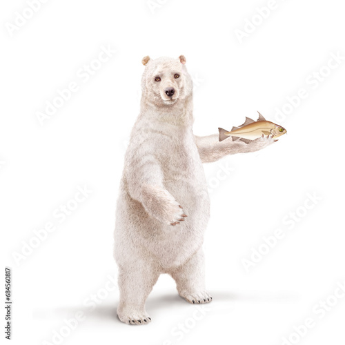 illustration d un ours polaire qui tiens un  poisson cepelans    dans sa main avec un e   charpe 