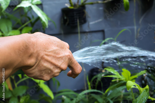 Close up of an asian man's hand watering plants around his house with a green hose