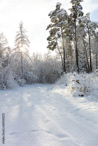 Wallpaper Mural snow covered trees Torontodigital.ca