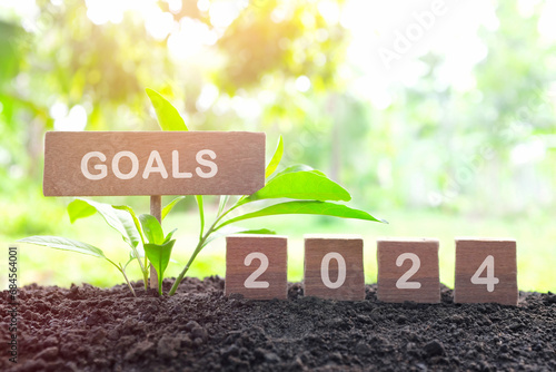 New year 2024 life goal, resolution and new priorities concept. Wooden blocks dice on a natural background at morning sunrise 