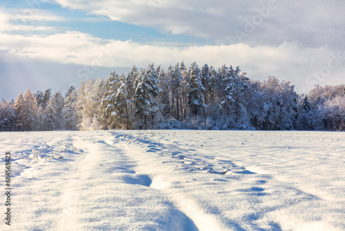 winter landscape with trees and snow