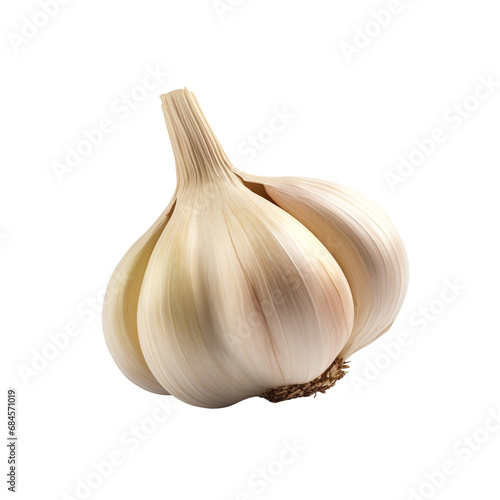 Garlic clip art © Alexander