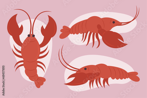 cooked shrimp illustration
