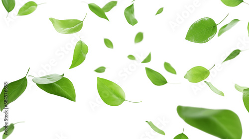 Flying in the air green leaves isolated on transparent background. Food levitation concept.