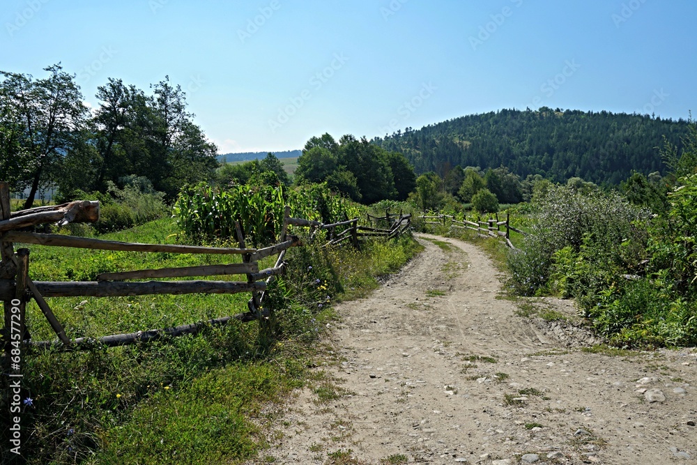 Rural road and fence among trees