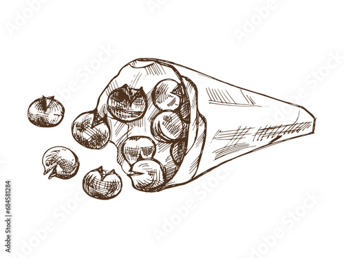 Hand-drawn sketch of baked chestnuts in a paper bag. Vector food drawing. Traditional Christmas. Illustration for packaging, label, recipe, menu. Vintage holiday design.